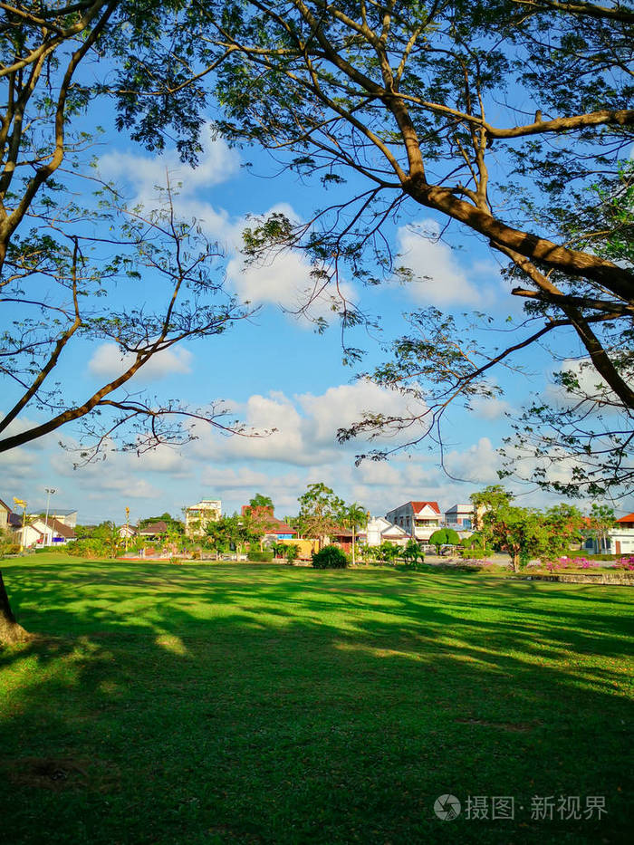 美丽的夏季景观有一个家和绿色的花园与复制空间.