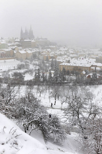捷克共和国彼得林山带哥特城堡的多雪多雾布拉格市