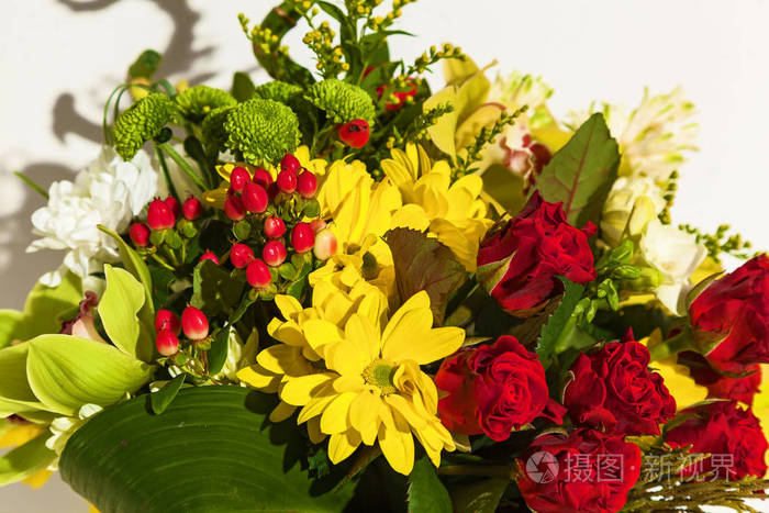 白色背景上的鲜花 郁金香 菊花和玫瑰的美丽排列 3月8日生日的鲜花2月14日照片 正版商用图片18rg81 摄图新视界 白色背景上的鲜花 郁金香 菊花和玫瑰的美丽排列 3月8日生日的鲜花2月14日照片 正版商用图片18rg81 摄图新视界
