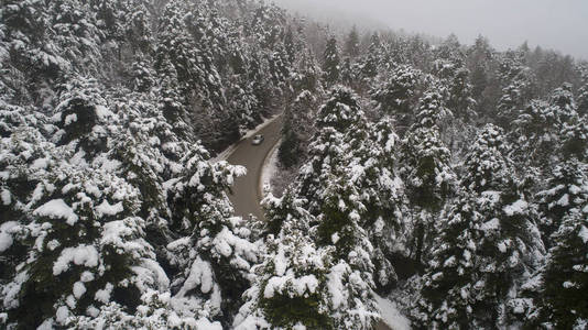 冬季森林的鸟瞰。 来自空气的自然冬季景观。 雪下的森林是冬天的时候。 雾蒙蒙的雪山的鸟瞰。 田园诗般的冬季景观中道路的鸟瞰。