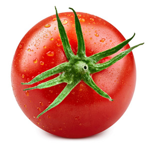 番茄矢量图
