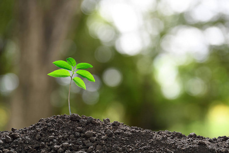 生长出来的图片