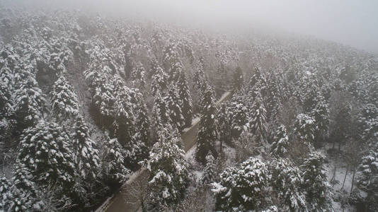 冬季森林的鸟瞰图。自然冬季景观从空中。森林下着雪是冬季.鸟瞰多雾多雪的冬山..田园冬季景观中道路的鸟瞰。