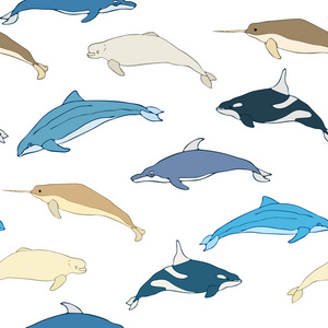 卡通鲸的无缝图案。一组白色背景的鲸鱼。矢量图解