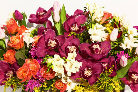 白色背景上的鲜花 郁金香 菊花和玫瑰的美丽排列 3月8日生日的鲜花2月14日照片 正版商用图片18rg7t 摄图新视界 白色背景上的鲜花 郁金香 菊花和玫瑰的美丽排列 3月8日生日的鲜花2月14日照片 正版商用图片18rg7t 摄图新视界