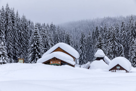 森林中的小屋松林覆盖着白雪的房子