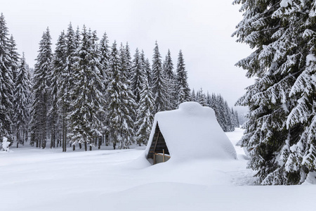 森林中的小屋松林覆盖着白雪的房子