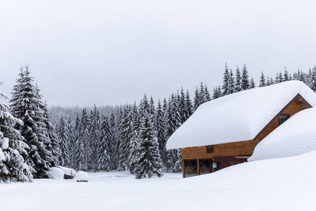 森林中的小屋松林覆盖着白雪的房子