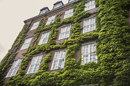丹麦哥本哈根市中心常春藤覆盖的房子