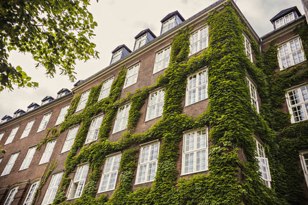 丹麦哥本哈根市中心常春藤覆盖的房子
