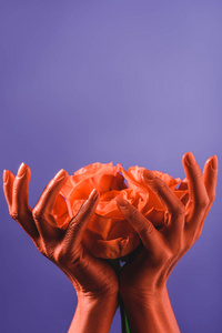 女性手持珊瑚玫瑰，用紫色背景色拍摄2019年概念