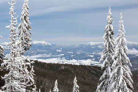 Bukovel 在冬天。白雪皑皑的山峰。乌克兰喀尔巴阡山