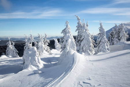 Bukovel 在冬天。白雪皑皑的山峰。乌克兰喀尔巴阡山