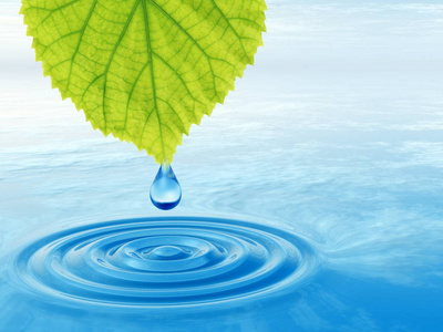 新鲜的泉水图片