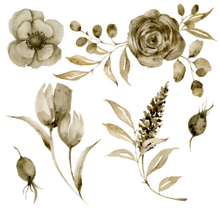 水色单色玫瑰花束 手绘的八百花花和浆果与桉树叶和分支查出在白色背景为设计 打印或织品照片 正版商用图片18s7sr 摄图新视界