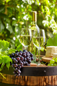 花园露台木桶上的葡萄和白葡萄酒