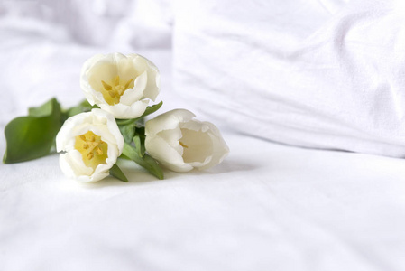 3朵白色的郁金香，白色的床上亚麻花