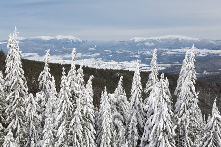 Bukovel 在冬天。白雪皑皑的山峰。乌克兰喀尔巴阡山