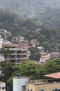 查看城市森林区的房屋，在巴西里约热内卢的cosmeVelho有多雨的天气