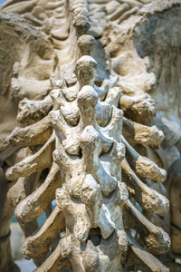 宝贵的文件史前树懒的骨架,巨喉特写.照片