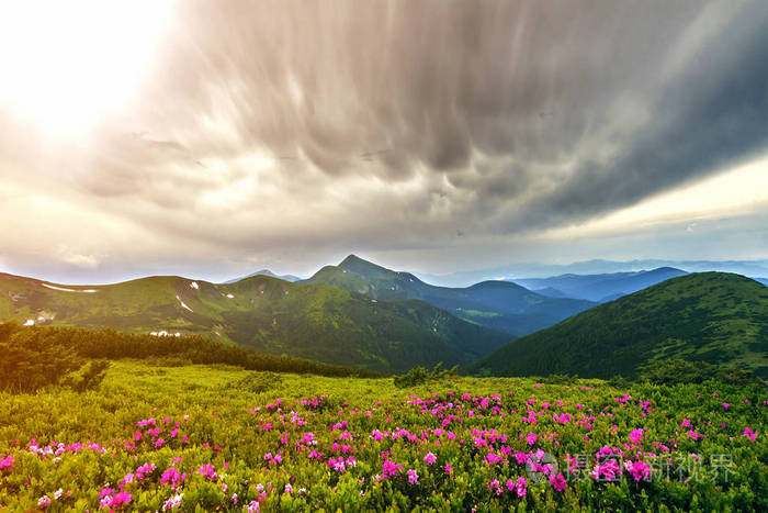 山坡的图片大全 风景图片