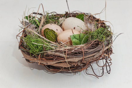复活节装饰与鸡蛋在巢与苔藓在乡村白色的木制背景。 复活节的概念。 平躺顶部视图复制空间。 春季贺卡