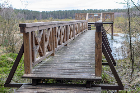 森林湿地上的一座实木桥。 森林沼泽的森林保护区。 冬天的季节。