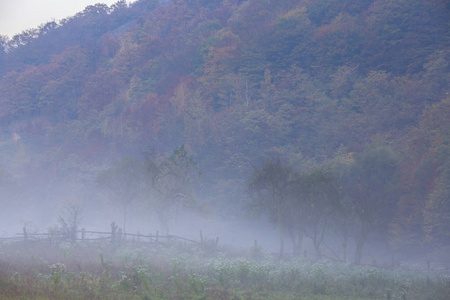 群山中偏远的农村地区令人毛骨悚然的风景，薄雾云和秋叶