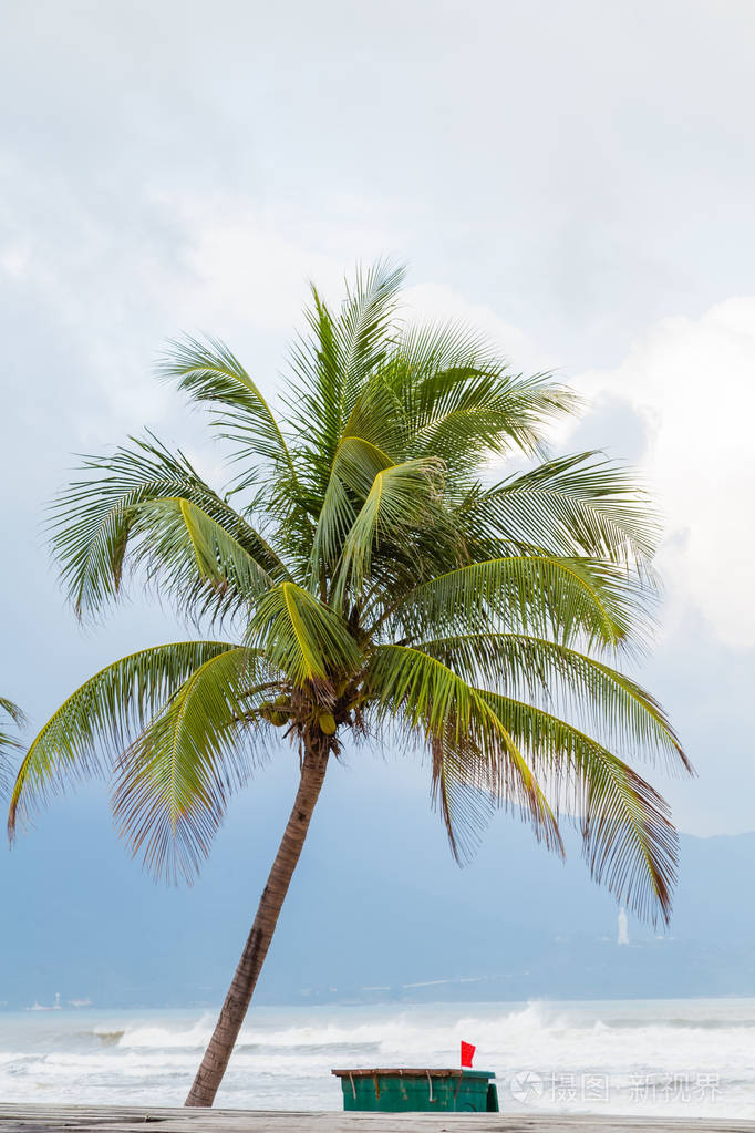 越南大南:热带椰子树,沙滩浅水. 刺激和回收可以. 垃圾桶