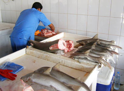 市场杀鱼在鱼市新鲜捕获的鲨鱼.卖家切鲨鱼的肉.鱼翅.