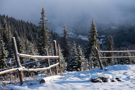 美丽的山峦和松树的山坡上有令人难以置信的风景，白雪覆盖