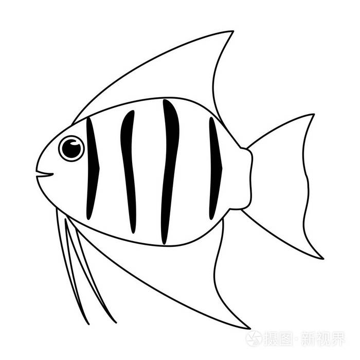 鱼海动物动画片在黑白