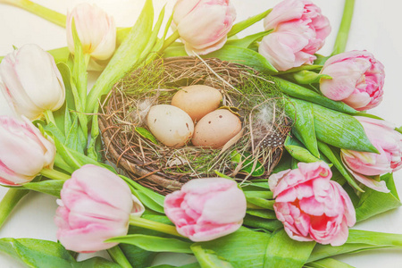 春天的贺卡。 复活节彩蛋在巢中，苔藓和粉红色新鲜郁金香花束在乡村白色的木制背景上。 复活节的概念。 平躺顶部视图复制空间。 春花