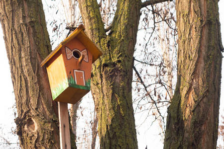 手工制作的鸟舍挂在果园的一棵树上。 手工木材庇护鸟类度过冬季。