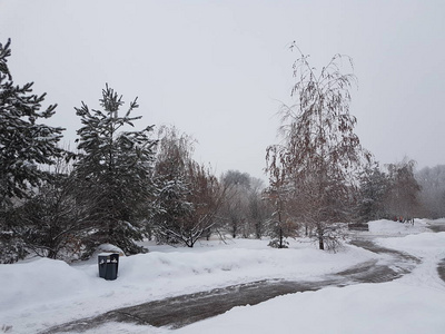 冬季公园的景观有雾和新鲜的雪。