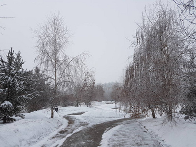 冬季公园的景观有雾和新鲜的雪。