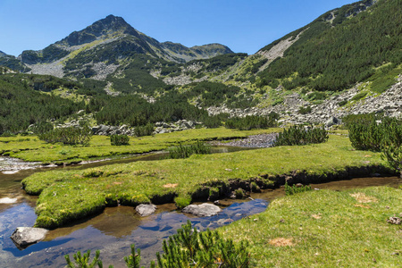 保加利亚Pirin山Valyavitsa河和Valyavishkichukar峰夏季景观