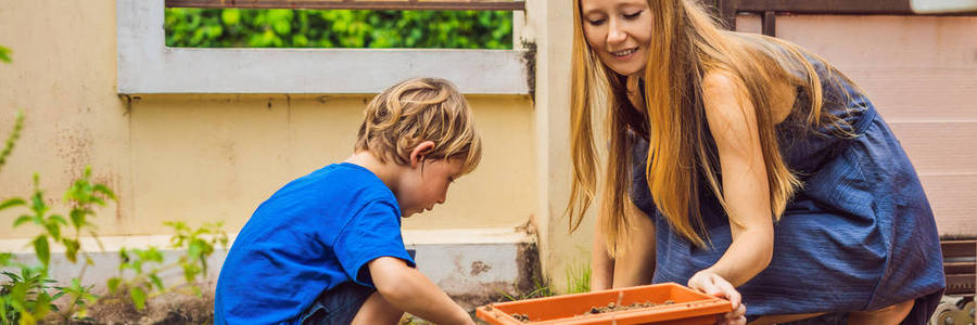 美丽的年轻女子和她可爱的儿子在夏天在家里的花园里种植幼苗。园艺工具, 手套和浇水可以在户外。小孩子和家庭的园艺活动