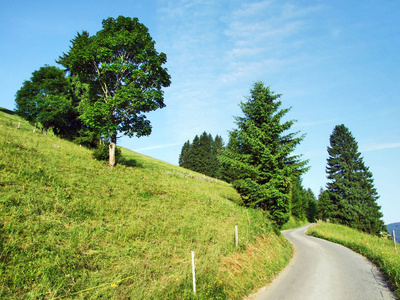肯梅尔瑞士圣加伦州杜肯堡地区丘尔弗林登山脉斜坡上的高山牧场和草地
