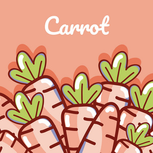 胡萝卜天然有机蔬菜卡通矢量图平面设计