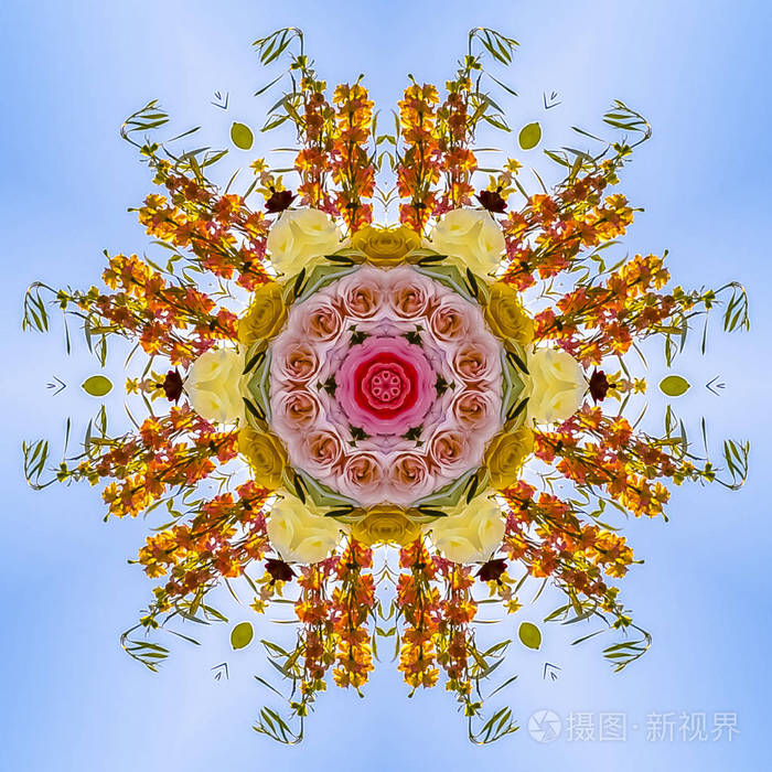 花径向反射成抽象的设计. 镜像对称反射轴上的几何万花筒图案.