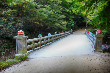 南韩加川山公路