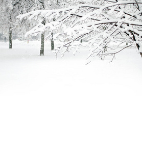 冬天的美丽。 公园里长满了雪。 孤独的概念。 季节性的美丽