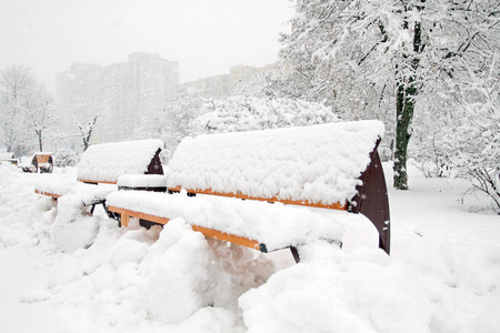 冬天的美丽。 公园里长满了雪。 孤独的概念。 季节性的美丽