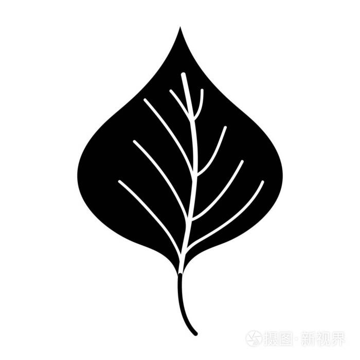 剪影植物叶片设计自然图标矢量插图