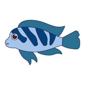 鱼海动物动画片