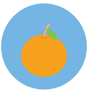 柑橘类食品孤立的颜色矢量图标，可以很容易地修改或编辑。