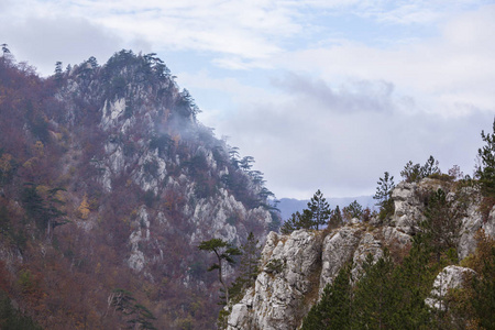 群山中偏远的农村地区令人毛骨悚然的风景，薄雾云和秋叶