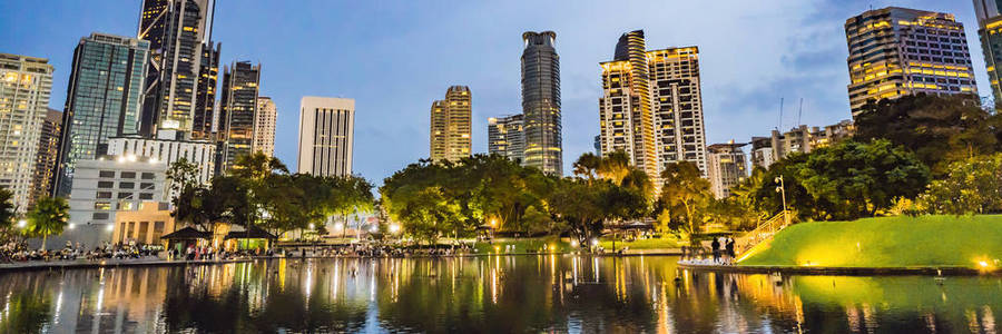 夜晚的湖泊，靠近双子塔，背景是城市