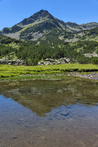 夏季景观与Valyavitsa河和Valyavishki丘卡尔峰皮尔山保加利亚